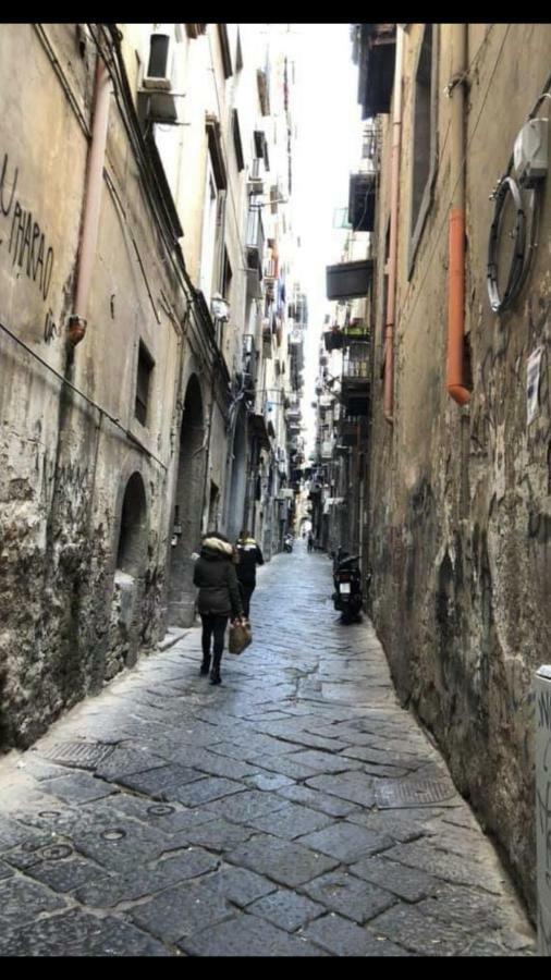 Rosy Monolocale Nel Centro Storico Di Torre Annunziata Di Fronte Scavi Oplonti Apartment Luaran gambar